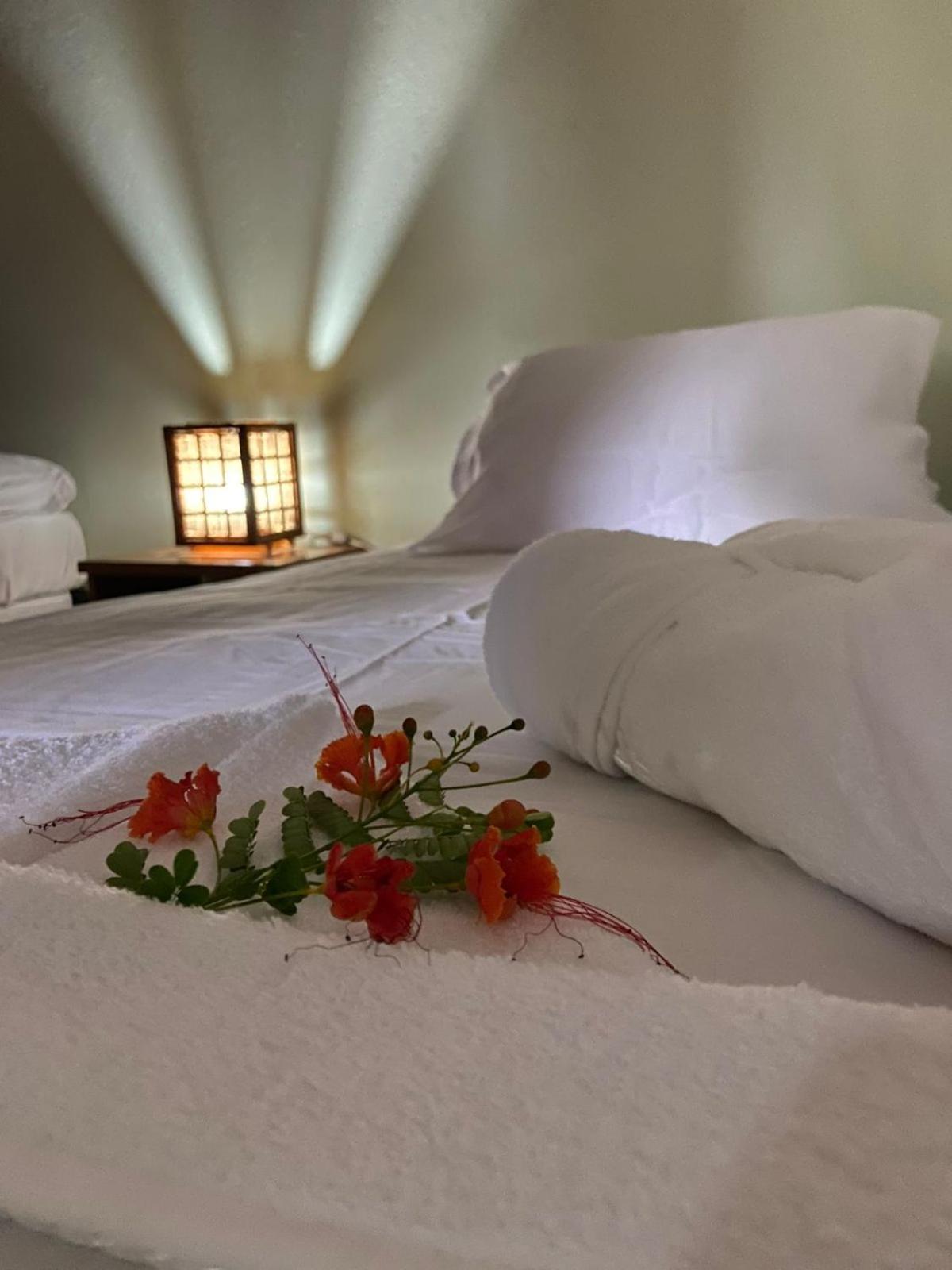 Casa Da Lagoa Jericoacoara Eksteriør billede