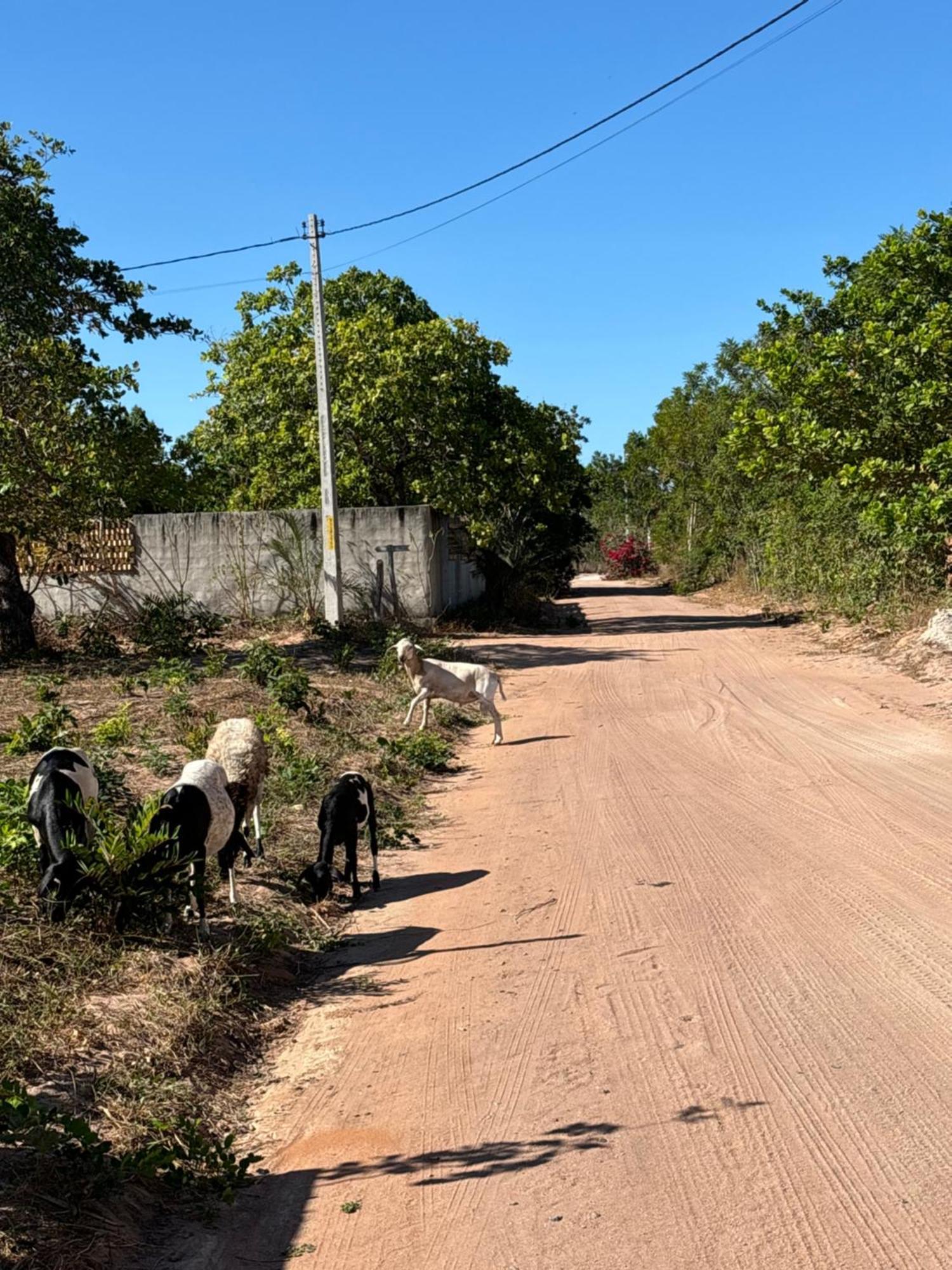 Casa Da Lagoa Jericoacoara Eksteriør billede