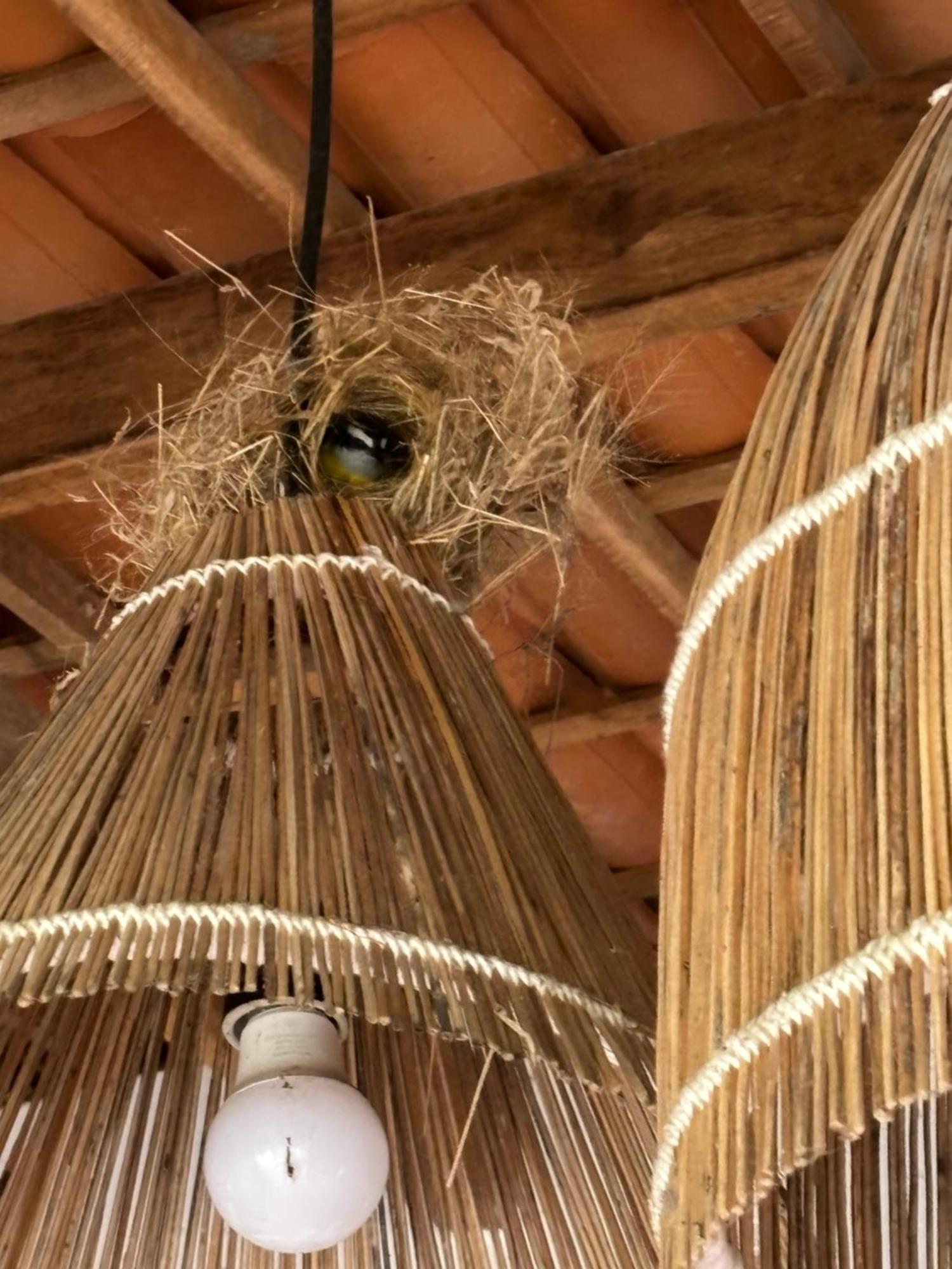 Casa Da Lagoa Jericoacoara Eksteriør billede